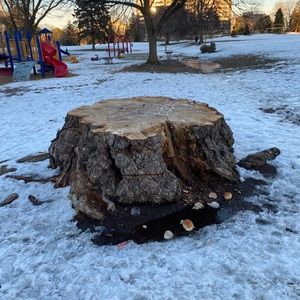 Meet your Posher, Namarra